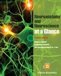 Cover: Neuroanatomy and Neuroscience at a Glance - Wiley