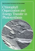 Cover: Chlorophyll Organization and Energy Transfer in Photosynthesis - Wiley
