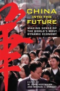 Cover: China into the Future - Wiley