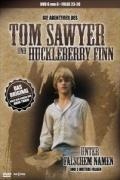 Cover: Tom Sawyer & Huckleberry Finn - DVD 6 - Universal Music Vertrieb