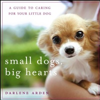 Enlarge image Cover: Small Dogs, Big Hearts - Wiley