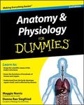 Cover: Anatomy and Physiology For Dummies - Wiley