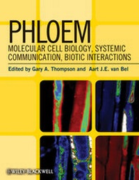 Abbildung von: Phloem - Wiley-Blackwell