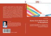Bild: Autour de la reduction de la phosphinine - Univ Europeenne