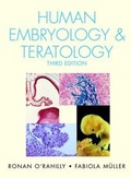 Bild: Human Embryology & Teratology - Wiley