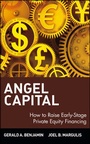 Cover: Angel Capital - Wiley