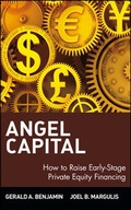 Cover: Angel Capital - Wiley