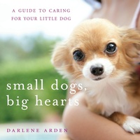 Enlarge image Cover: Small Dogs, Big Hearts - Wiley