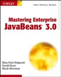Cover: Mastering Enterprise JavaBeans 3.0 - Wiley