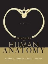 Enlarge image Cover: Principles of Human Anatomy - Wiley