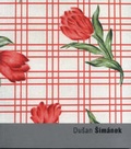 Cover: Dusan Simanek - Torst