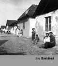 Cover: Eva Davidova - Torst
