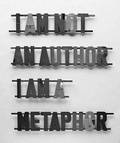 Cover: I Am Not an Author, I Am a Metaphor - Slovart Publishing, Ltd.