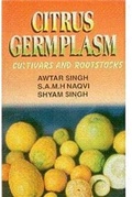 Cover: Citrus Germplasm - Kalyani Publishers
