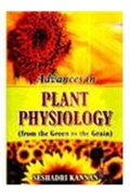 Cover: From the Green to the Grain - APH Publishing Corporation