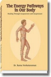 Abbildung von: The Energy Pathways in Our Body - Shrikunj Sadbhavana Munch
