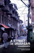 Cover: A Street in Srinagar - Zubaan