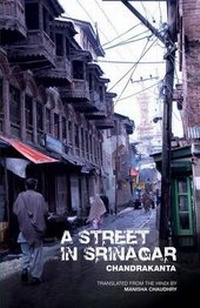 Enlarge image Cover: A Street in Srinagar - Zubaan