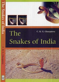 Abbildung von: The Snakes of India - Asiatic Publishing House