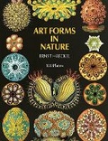 Cover: Art Forms in Nature - Dover Publications Inc.