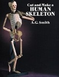 Cover: Cut and Make a Human Skeleton - Dover Publications Inc.