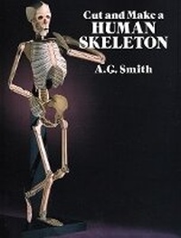 Enlarge image Cover: Cut and Make a Human Skeleton - Dover Publications Inc.