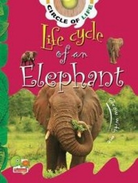 Enlarge image Cover: Life Cycle of an Elephant: Key stage 1 - The Energy and Resources Institute, TERI