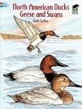Cover: North American Ducks, Geese and Swans - Dover Children's