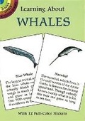 Cover: Learning About Whales - Dover Children's