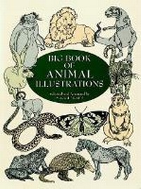 Enlarge image Cover: Big Book Animal Illustrations - Dover Publications Inc.