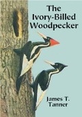 Cover: The Ivory-Billed Woodpecker - Dover Publications Inc.