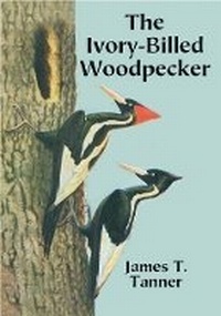 Enlarge image Cover: The Ivory-Billed Woodpecker - Dover Publications Inc.