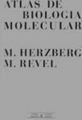 Abbildung von: Atlas de biología molecular - Ediciones Omega, S.A.