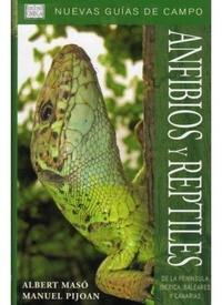Abbildung von: Anfibios y reptiles de la Península Ibérica, Baleares y Canarias - Ediciones Omega, S.A.