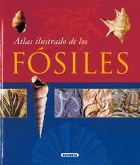 Abbildung von: La isla sin par - Susaeta Ediciones