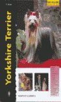 Cover: Yorkshire terrier - Editorial Hispano Europea S.A.