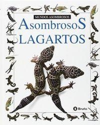 Abbildung von: Mundos Asombrosos: Asombrosos Lagartos - Grupo Editorial Bruno, S.L.