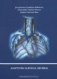 Abbildung von: Anatomía humana general - Editorial Universidad de Sevilla-Secretariado de Publicaciones