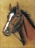 Cover: Horse Notebook - Dover Publications Inc.