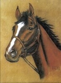 Enlarge image Cover: Horse Notebook - Dover Publications Inc.