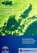 Abbildung von: Tres estudios jurídicos sobre el patrimonio histórico - Consejería de Cultura (Andalucía)