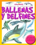 Cover: Ballenas Y Delfines - Combel Ediciones Editorial Esin, S.A.