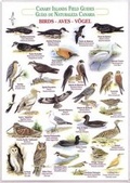 Cover: Birds (Waterproof Field Guide) - Publicaciones Turquesa
