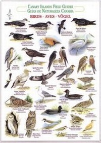 Enlarge image Cover: Birds (Waterproof Field Guide) - Publicaciones Turquesa