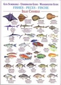 Cover: Fishes (Waterproof Field Guide) - Publicaciones Turquesa