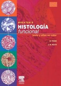 Abbildung von: Wheater's. Histologia Funcional + CD-ROM En Ingles - Elsevier