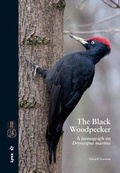 Cover: The Black Woodpecker - Lynx Edicions