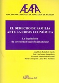 Bild: El derecho de familia ante la crisis econ&oacute;mica : la liquidaci&oacute;n de la sociedad de gananciales - Editorial Dykinson, S.L.