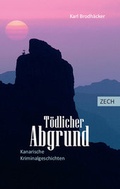 Cover: T&ouml;dlicher Abgrund - Zech Verlag