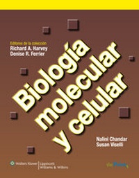 Abbildung von: Biologia molecular y celular - Lippincott Williams & Wilkins